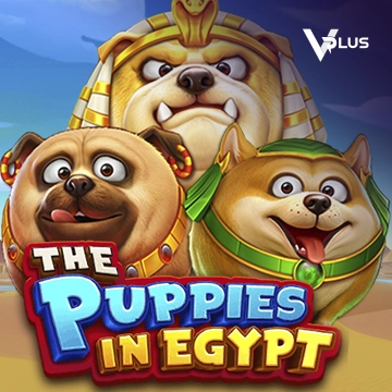 Vplus : The Puppies In Egypt - FULLBET138
