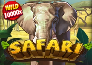 AFB : Safari - FULLBET138