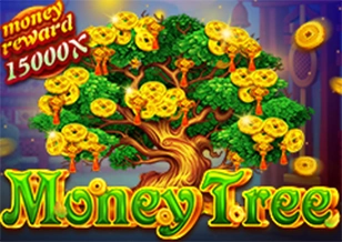 AFB : Pohon Duit - FULLBET138